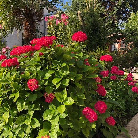 Casa Hortensia Njivice Dış mekan fotoğraf