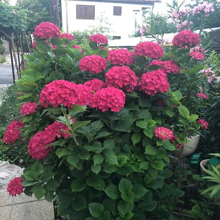 Casa Hortensia Njivice Dış mekan fotoğraf