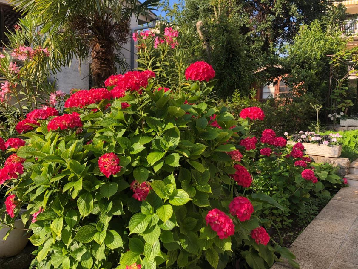 Casa Hortensia Njivice Dış mekan fotoğraf